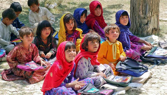 在线DDOS攻击平台